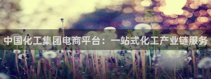 球盟会官网登录入口