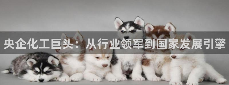 球盟会出款黑了