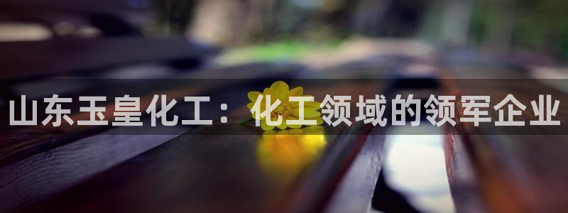 球盟会在线官网