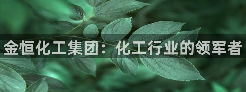 球盟会在线登录