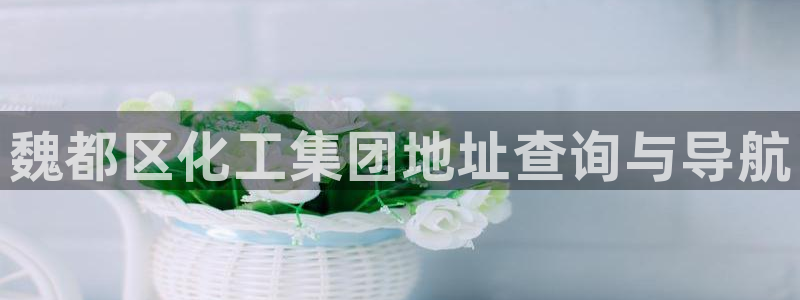 球盟会和中欧合作吗