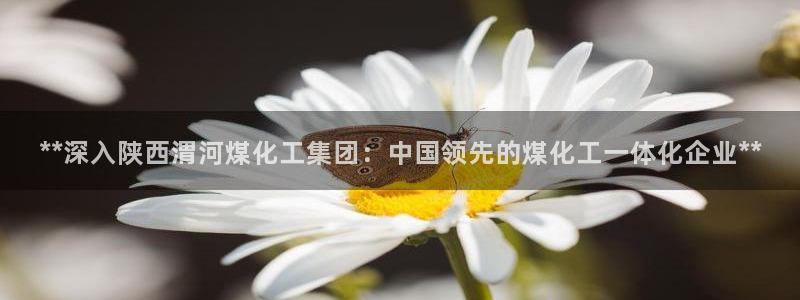 球盟会平台怎么样：**深入陕西渭河煤化工集团：中国领先的煤化