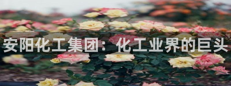 球盟会综合体育平台