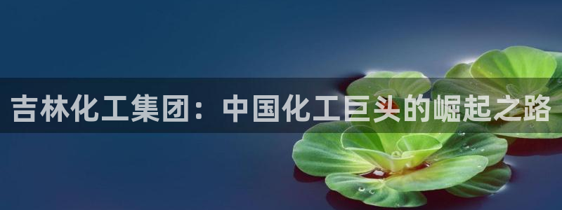 球盟会官方网页登录