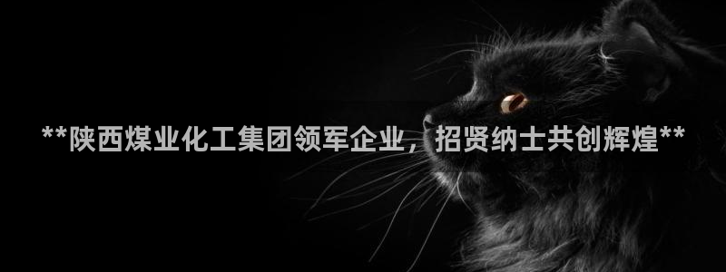 球盟会官方登录平台：**陕西煤业化工集团领军企业，招贤纳士共