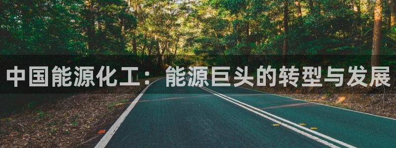 球盟会中国官方网站