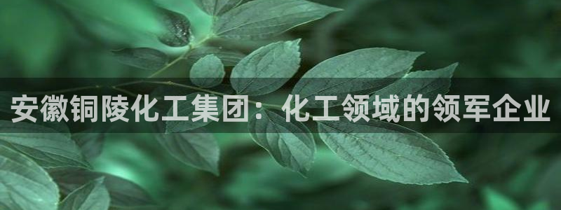 球盟会能退钱吗现在