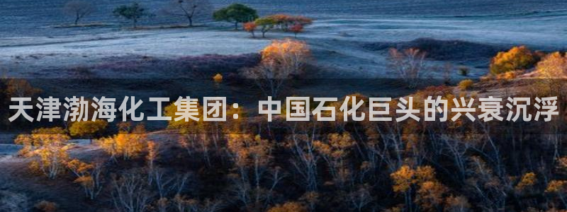 球盟会app网址多少号