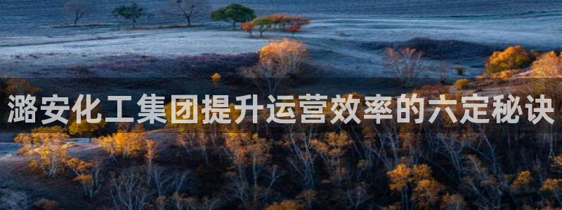 球盟会下载最新版