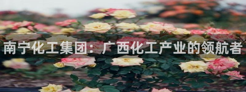 球盟会网址多少：南宁化工集团：广西化工产业的领航者