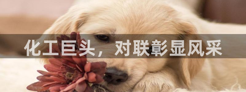 球盟会乐虎