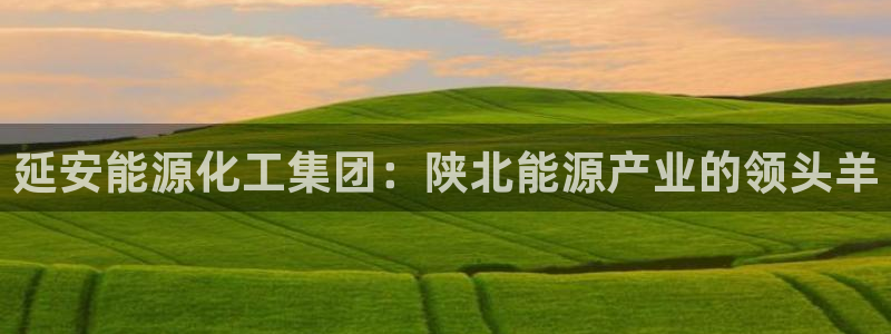 球盟会可以提现么