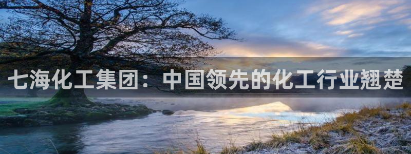 球盟会最新地址备用：七海化工集团：中国领先的化工行业翘楚