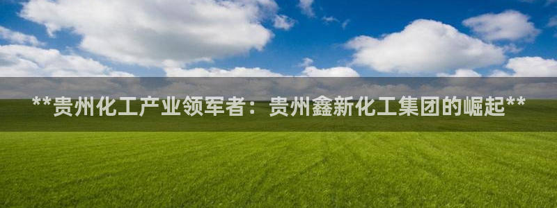 球盟会qmh官网：**贵州化工产业领军者：贵州鑫新化工集团的