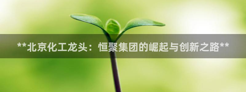 球盟会最新活动：**北京化工龙头：恒聚集团的崛起与创新之路*