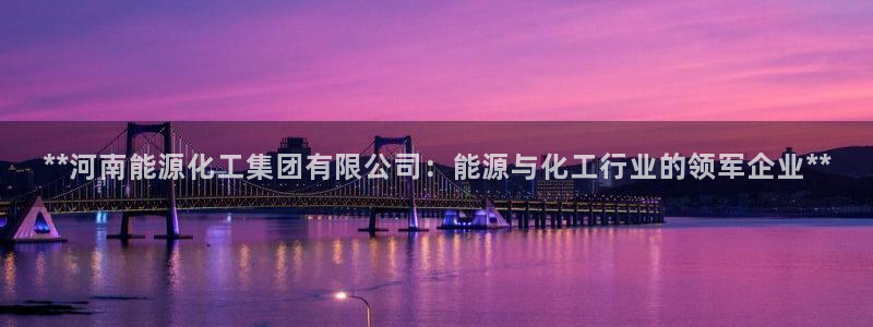 球盟会黑款吗知乎小说：**河南能源化工集团有限公司：能源与化