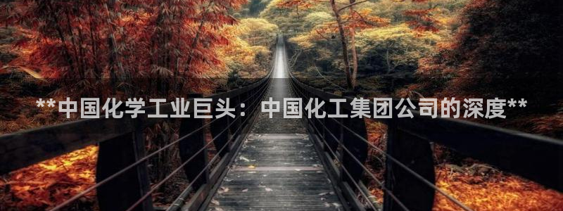球盟会优惠券：**中国化学工业巨头：中国化工集团公司的深度*