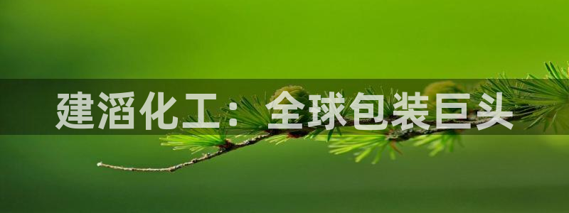 球盟会中国网页登录：建滔化工：全球包装巨头