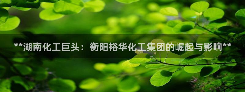 球盟会qm9：**湖南化工巨头：衡阳裕华化工集团的崛起与影响