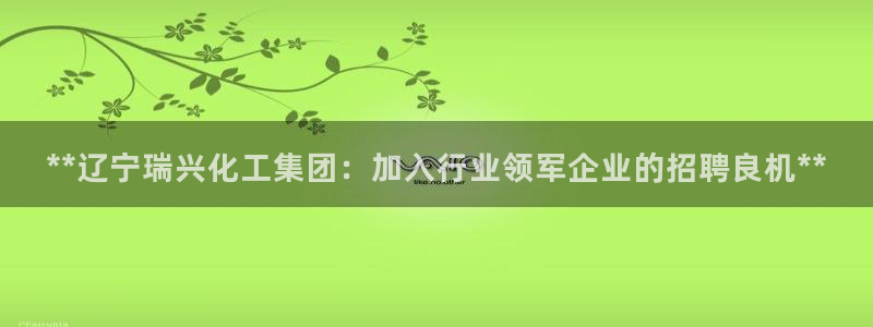 球盟会登录平台入口：**辽宁瑞兴化工集团：加入行业领军企业的