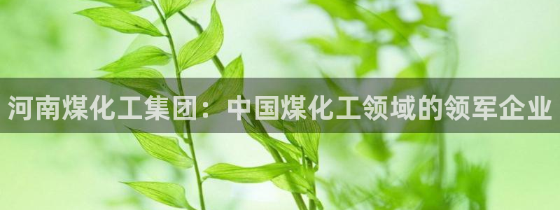 球盟会论坛：河南煤化工集团：中国煤化工领域的领军企业