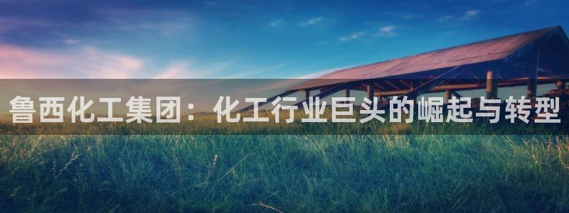 球盟会qm9