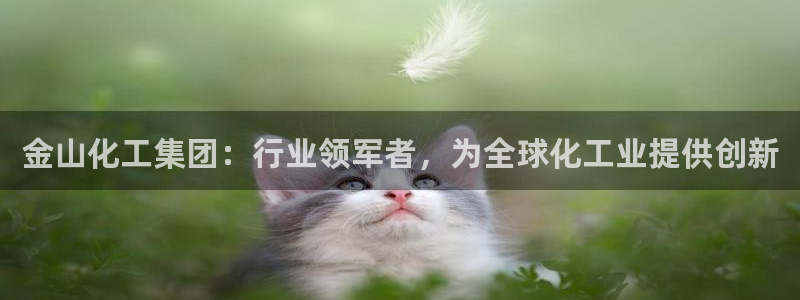球盟会官方网站app：金山化工集团：行业领军者，为全球化工业