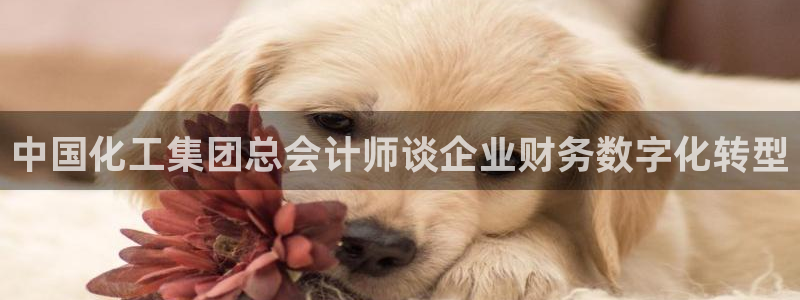 球盟会体验金
