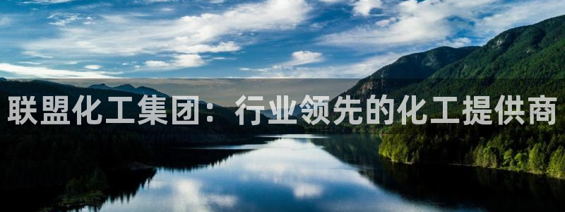 球盟会有限公司怎么样：联盟化工集团：行业领先的化工提供商