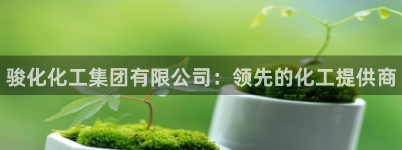 球盟会连接：骏化化工集团有限公司：领先的化工提供商