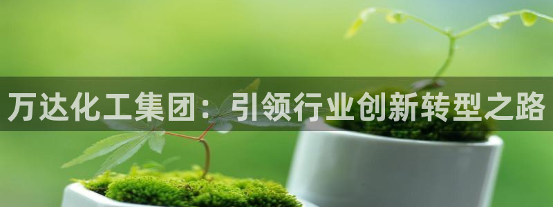 球盟会论坛