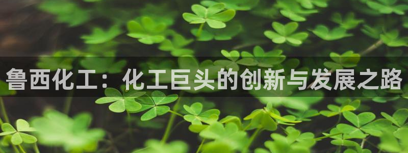 球盟会黑嘛