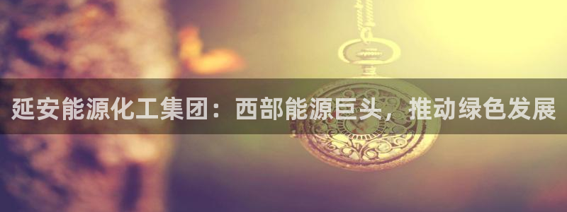 球盟会黑款吗是真的吗：延安能源化工集团：西部能源巨头，推动绿