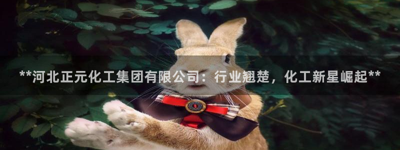 球盟会qmh登录地址
