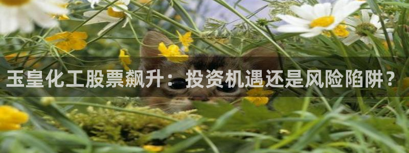球盟会体验金