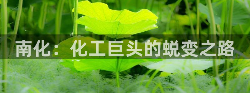 球盟会黑钱