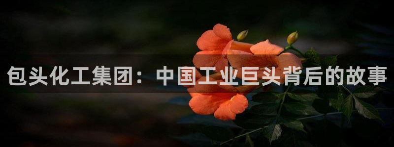 球盟会提款支付宝怎么样