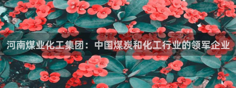 球盟会有没有黑单的活动