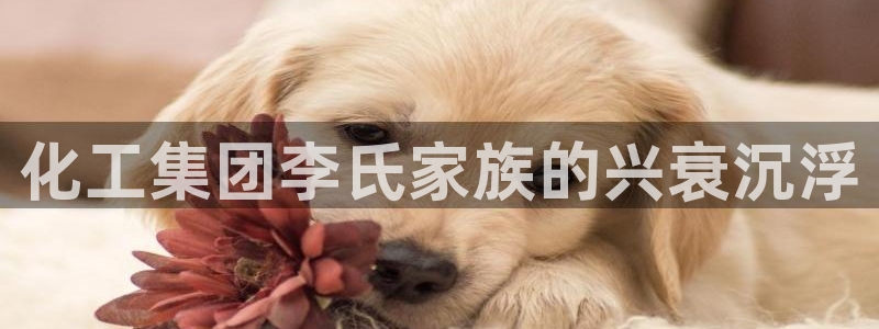 球盟会官方app首页入口