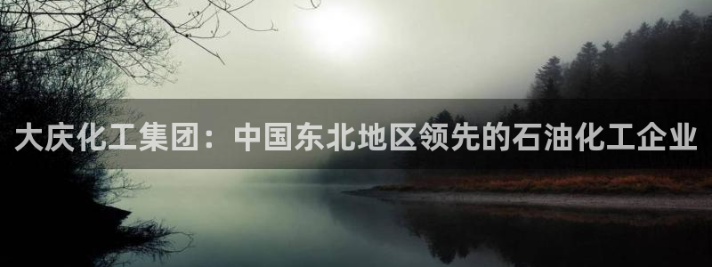 球盟会进不去吗