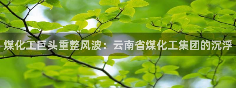 球盟会优惠码