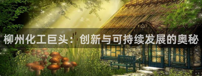 球盟会进不去