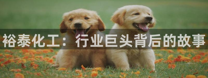 球盟会app最新地址在哪