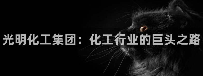 球盟会可靠不