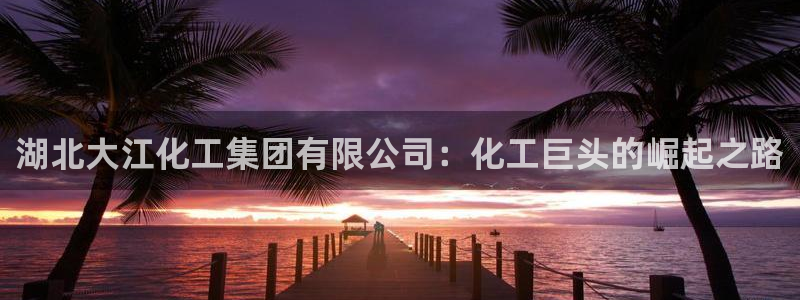 球盟会官方网址入口