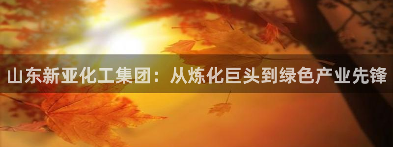 球盟会qmh登录地址