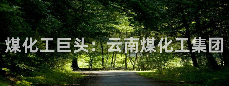 球盟会里面有打牌的嘛是真的吗