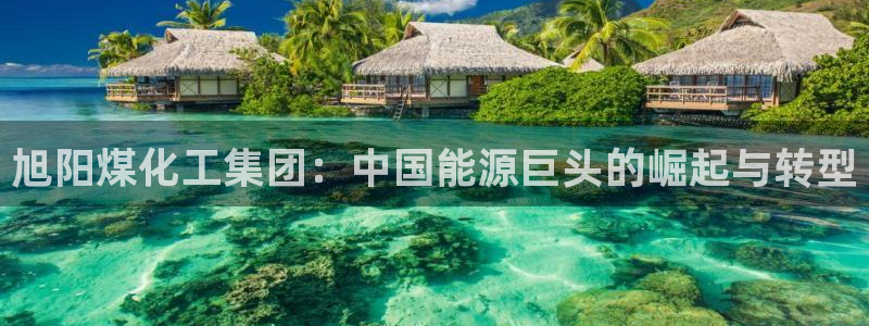 球盟会官方下载