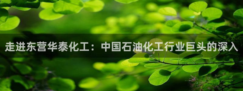 球盟会APP官网