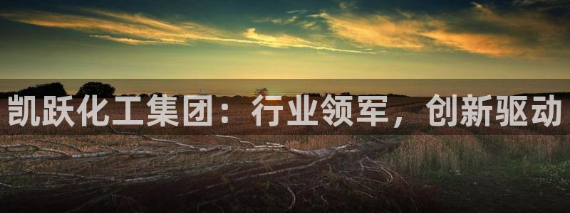 球盟会网址qm9 - 球盟会qmh网页版登录